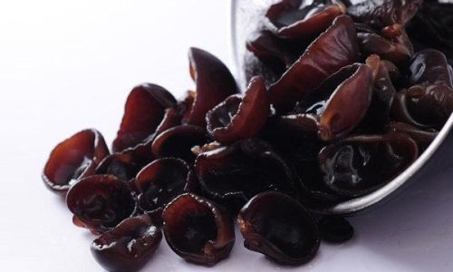How to Preserve Black Fungus for Optimal Freshness and Longevity