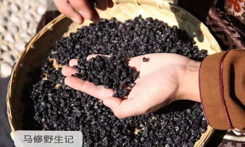 How to Preserve Goji Berries:A Comprehensive Guide