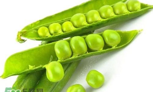 How to Preserve Snow Peas for Optimal Freshness and Longevity
