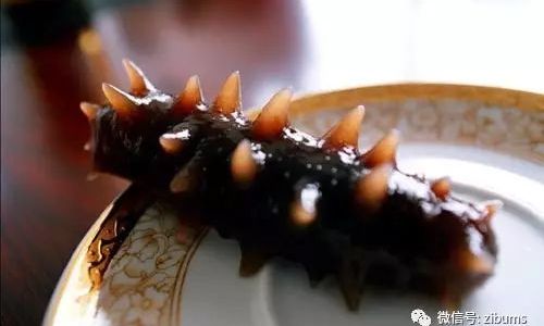 How to Preserve Sea Cucumbers:A Comprehensive Guide