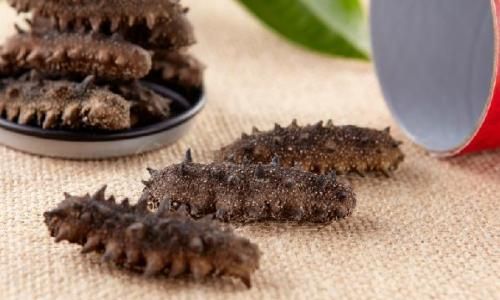 How to Preserve Sea Cucumbers:A Comprehensive Guide