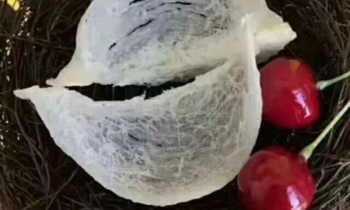 How to Preserve Dried Edible Birds Nest for Optimal Freshness and Quality