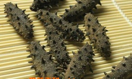 How to Preserve Dried Sea Cucumbers Effectively