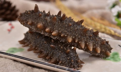 How to Preserve Dried Sea Cucumbers Effectively
