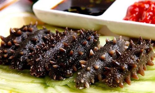 How to Preserve Dried Sea Cucumbers Effectively