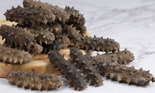 How to Preserve Dried Sea Cucumbers Effectively