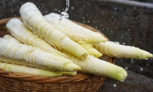 How to Preserve Spring Bamboo Shoots:A Comprehensive Guide