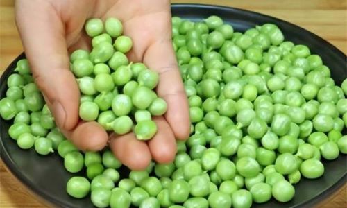 How to Preserve Fresh Pea Pods for Optimal Freshness