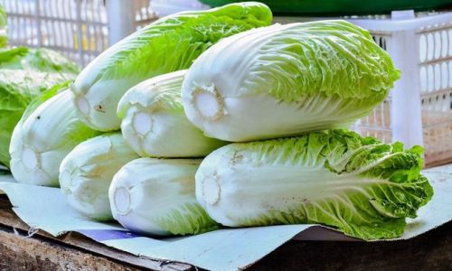 How to Preserve Chinese Cabbage:Simple Methods for Freshness