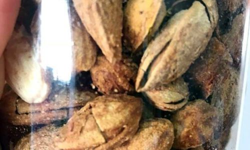 How to Preserve Almonds Properly:A Comprehensive Guide