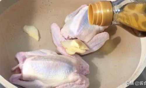 Mastering the Art of Nutritious Pigeon Soup Preparation
