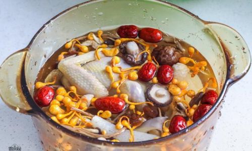 Mastering the Art of Nutritious Pigeon Soup Preparation