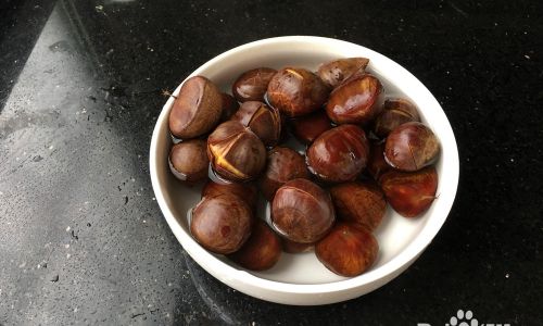 Mastering the Art of Making Chestnut and Bone Soup
