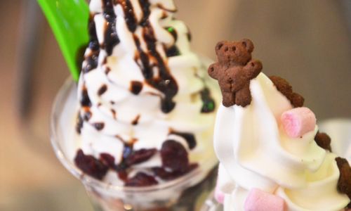 Transforming Yogurt into Delicious Homemade Ice Cream