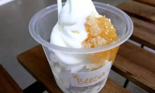Transforming Yogurt into Delicious Homemade Ice Cream