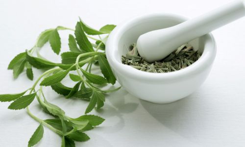 How to Effectively Dry Purslane for Long-Term Preservation