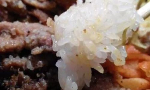 The Art of Steaming Pork Scraps:A Culinary Journey