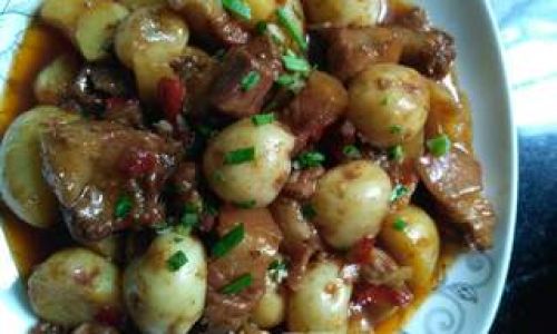 Delving into the Culinary Art:A Comprehensive Guide to Meat and Potato Dishes